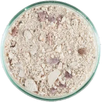CaribSea Aragalive Bimini Pink 9,07 kg