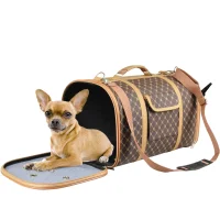 Carrying Bag Chloe 2 45x26x26 cm
