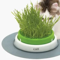 Catit Senses Kattegræs