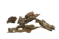 Dragon Wood Dragetræ pris pr kg