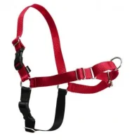 Easy Walk Hundesele S Rød - Bryst 21,5-28 cm