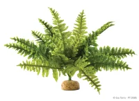Exo Terra Boston Fern (medium)