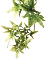 Exo Terra Croton stor