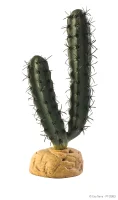 Exo Terra Finger Kaktus