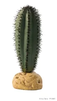 Exo Terra Saguaro kaktus