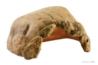 Exo Terra Skildpadde hule 39,5x28,5x20,50 cm