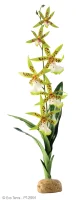 Exo Terra Spider Orkide
