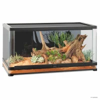 Exoterra Glas Terrarium Vista 120XL Buet rude