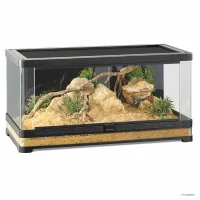 Exoterra Glas Terrarium Vista 90 Buet rude