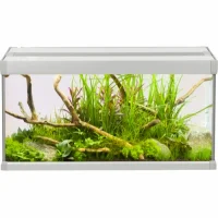 Family Akvarium 60x30x32 cm 54 Liter