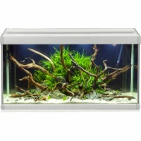 Family Akvarium 70x32x37 cm 80 Liter