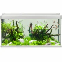 Family Akvarium 80x35x42 cm 112 Liter