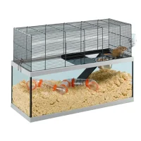 Ferplast Gabry 80 Ørkenrottebur Sort/glas 79x30.5x51.4 cm