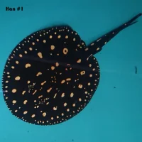 Ferskvandsrokke Potamotrygon Leopoldi - Black Diamond Han Ø 40 cm