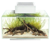 FLUVAL Edge II Hvid 23 liter med LED