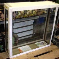 Foto Akvarium 80 x 20 x 80 cm (3 dages leje)