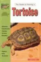 Guide to owning a tortoise