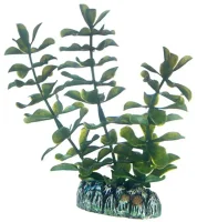 Hobby Bacopa 13 cm