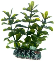 Hobby Bacopa 7 cm