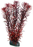 Hobby Eusteralis 20 cm
