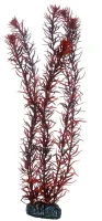 Hobby Eusteralis 39 cm