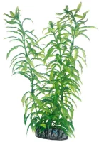 Hobby Heteranthera 25 cm