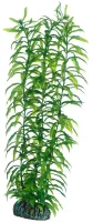Hobby Heteranthera 34 cm