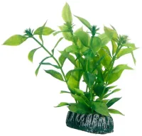 Hobby Hygrophila 20 cm