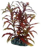 Hobby Nesaea 13 cm