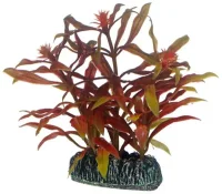 Hobby Nesaea 7 cm