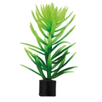 Hobby Plastikplante Didiplis mini 5 stk.