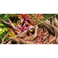 Hobby Terrariebaggrund 100x60 cm Colorful Jungle / Strangler Fig
