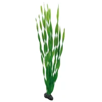 Hobby Vallisneria 60 cm