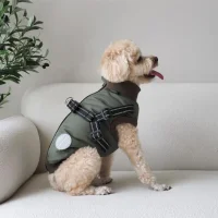 Hundejakke Thor med indbygget sele Grøn S