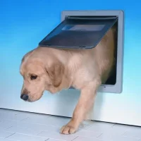 Hundelem stor Dog Mate hvid