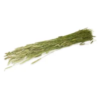 JR Farm Timothyhøst 80 g