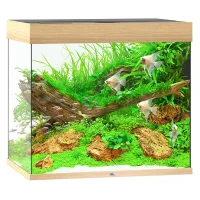 Juwel Akvarium Led Lido 200 Liter Eg 70x51x65 cm