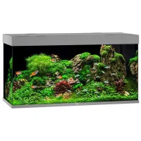 Juwel Akvarium Led Rio 350 Grå 121x51x66 cm 350 L