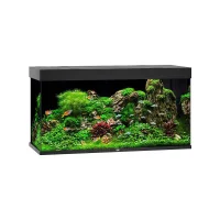 Juwel Akvarium Led Rio 350 Sort 121x51x66 cm 350 L