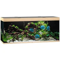 Juwel Akvarium Led Rio 450 Eg 151x51x66 cm 450 L
