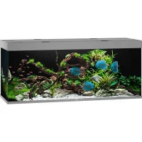 Juwel Akvarium Led Rio 450 Grå 151x51x66 cm 450 L