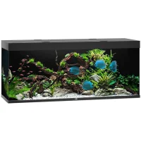 Juwel Akvarium Led Rio 450 Sort 151x51x66 cm 450 L