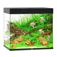 Juwel Akvarium Lido 200 Liter i Sort 70x51x65 cm