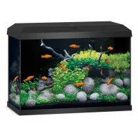 Juwel Akvarium Primo 70 2.0 Sort