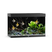 Juwel Aquarium LED Rio 290 Liter Sort