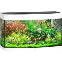 Juwel Aquarium VISION 180 Hvid