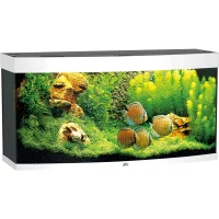 Juwel Aquarium VISION 260 LED Hvid