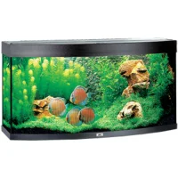 Juwel Aquarium VISION 260 LED Sort