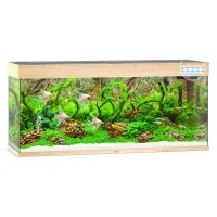Juwel Rio 240 L Eg 121x41x55 cm