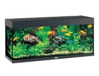 Juwel Rio 240 L Sort 121x41x55 cm